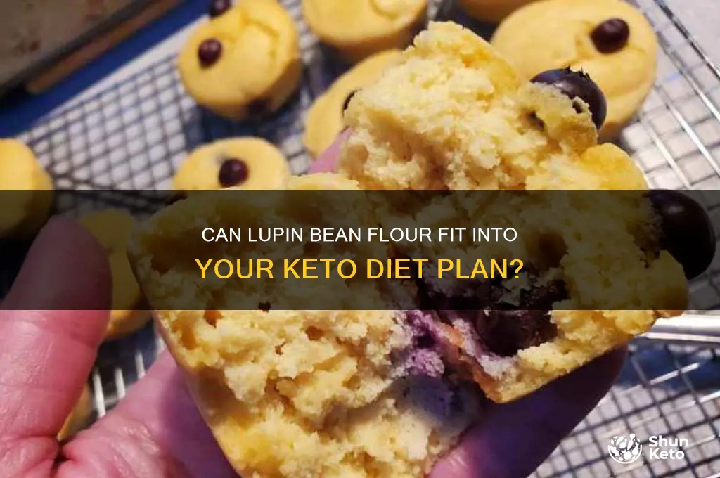 are lupin bean goor on keto