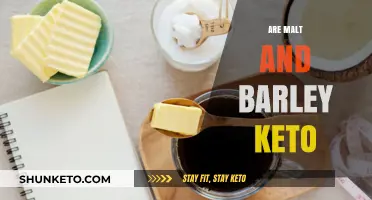 Is Malt and Barley Keto-Friendly? A Low-Carb Diet Guide