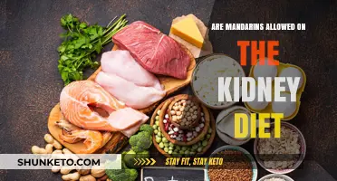 Mandarin Oranges: A Healthy Kidney Diet Treat?