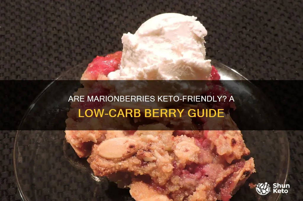 are marionberries keto