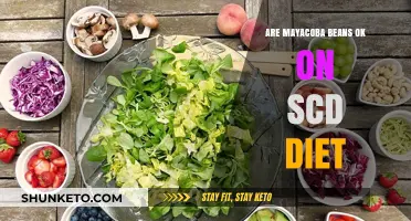Mayacoba Beans: Safe for the SCD Diet?