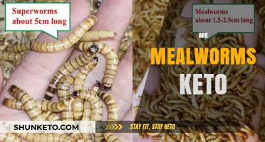 Are Mealworms Keto-Friendly? Exploring Their Low-Carb Potential for Diets