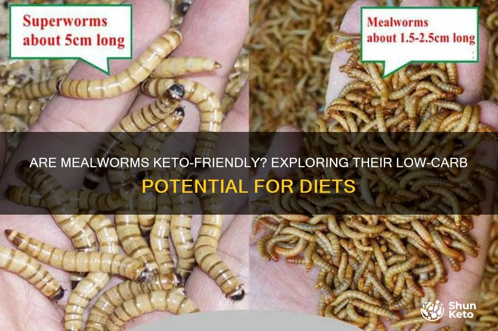 are mealworms keto