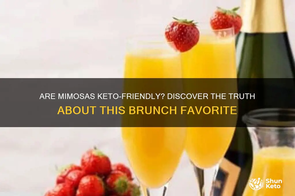 are mimosas keto