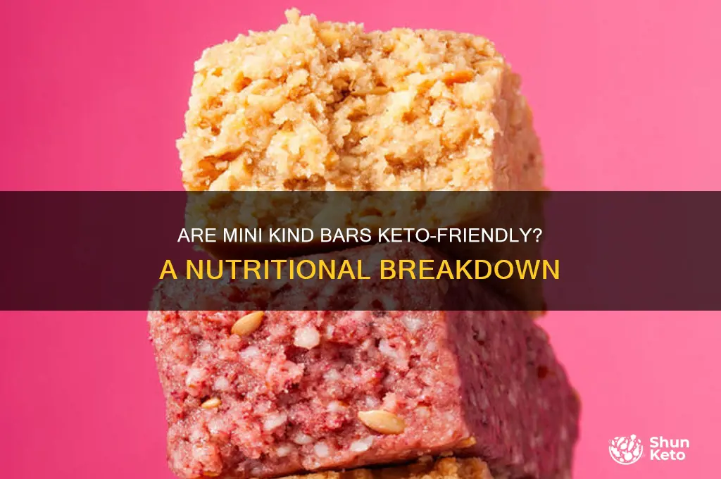 are mini kind bars keto
