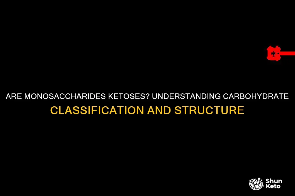 are monosaccharides ketoses