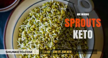Are Moong Sprouts Keto-Friendly? A Low-Carb Diet Guide