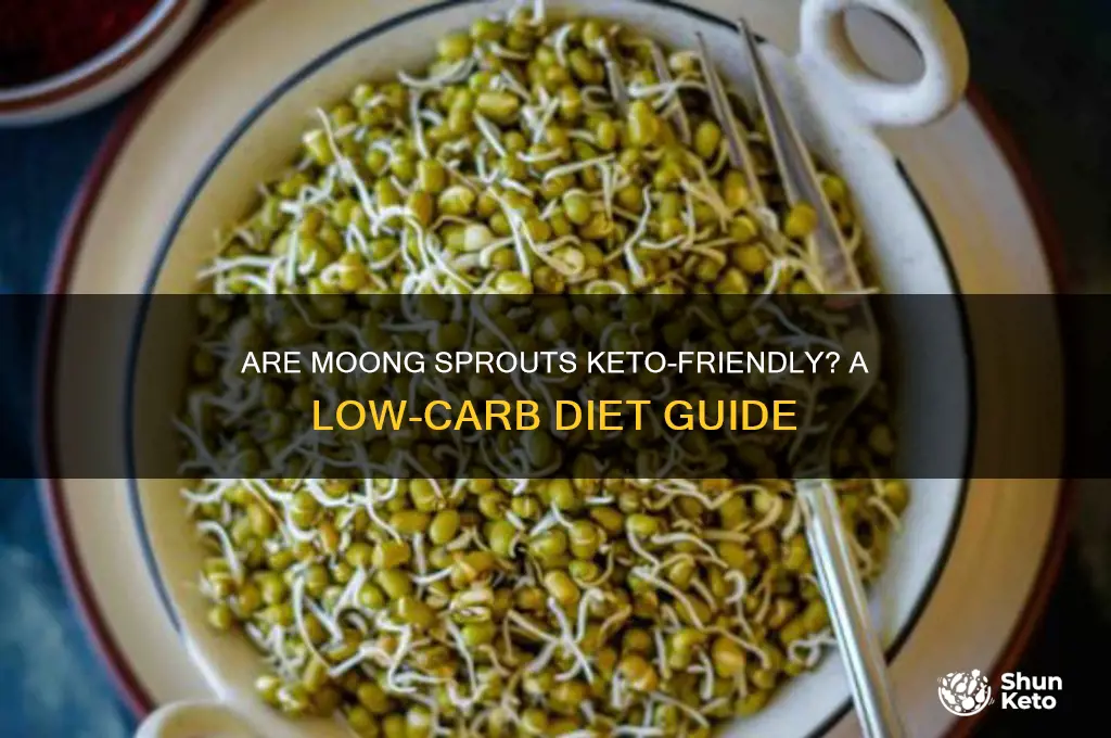 are moong sprouts keto
