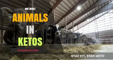 Are Most Animals Naturally in Ketosis? Exploring Their Metabolic States