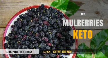 Are Mulberries Keto-Friendly? A Low-Carb Fruit Analysis