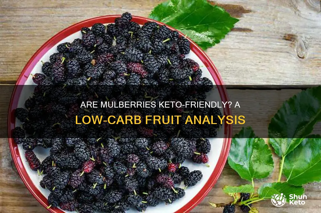 are mulberries keto