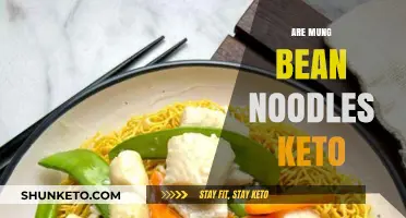 Are Mung Bean Noodles Keto-Friendly? A Low-Carb Noodle Guide