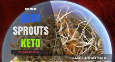 Mung Bean Sprouts and Keto: Are They a Perfect Match?