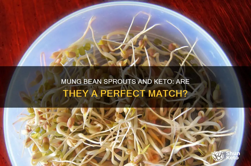 are mung bean sprouts keto