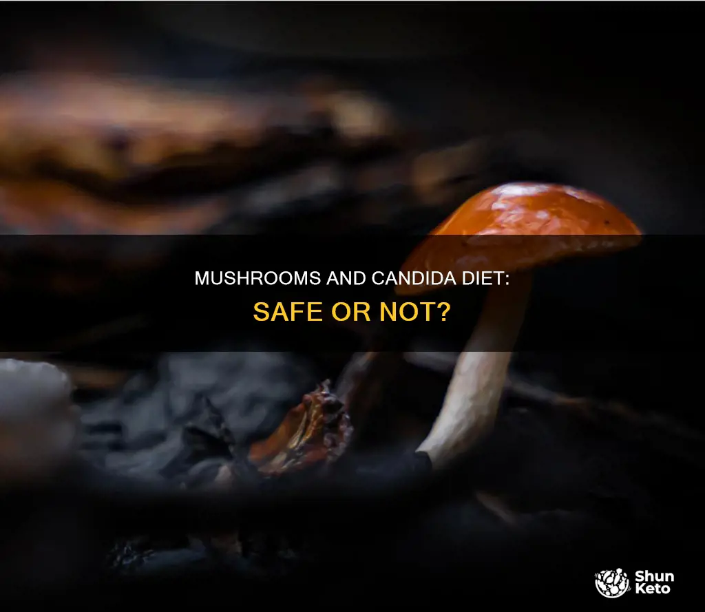 are mushrooms ok for candida diet