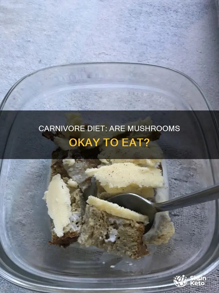 are mushrooms ok for carnivore diet