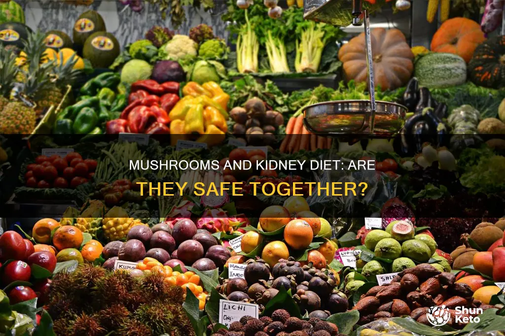 are mushrooms ok for kidney diet