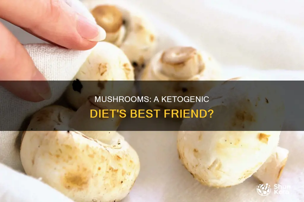 are mushrooms okay on a ketogenic diet