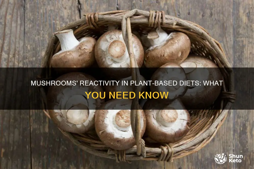 are mushrooms reactive for the plan diet