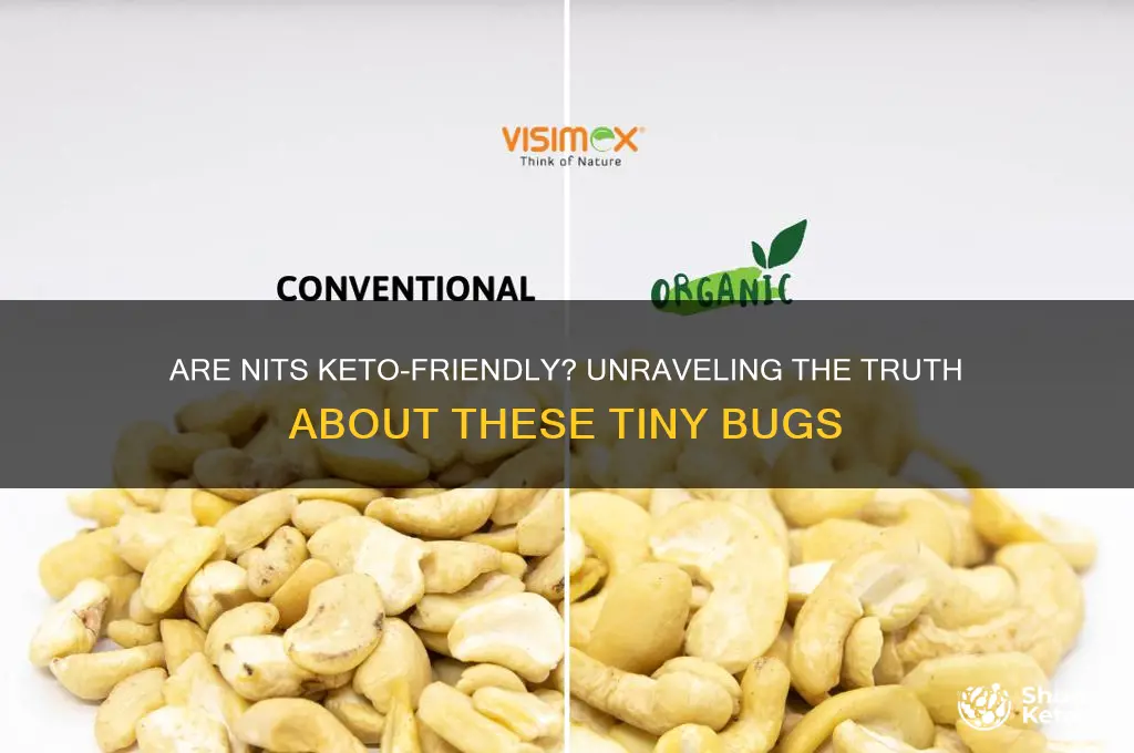 are nits keto