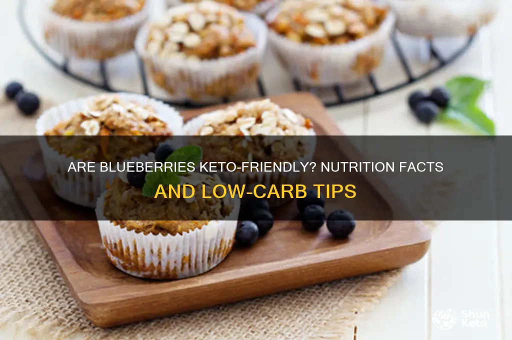 are nlueberries keto