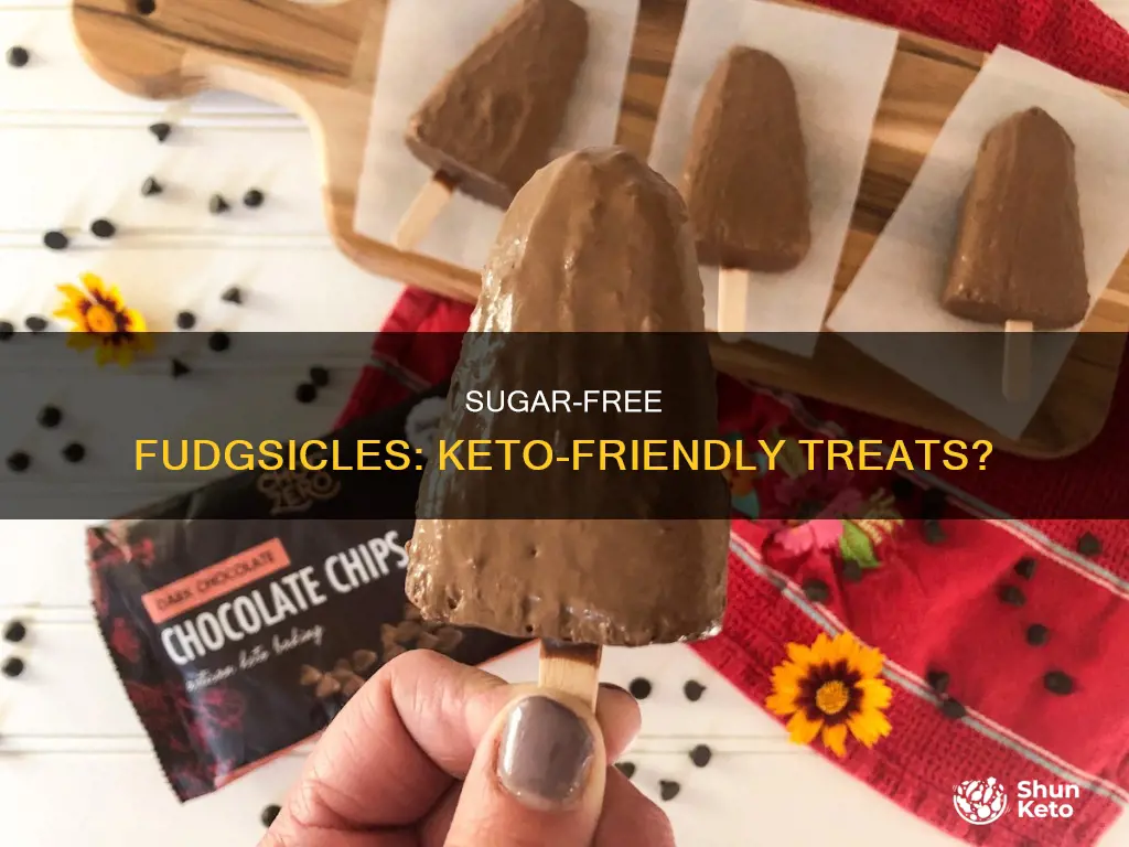 are no sugar added fudgsicle keto