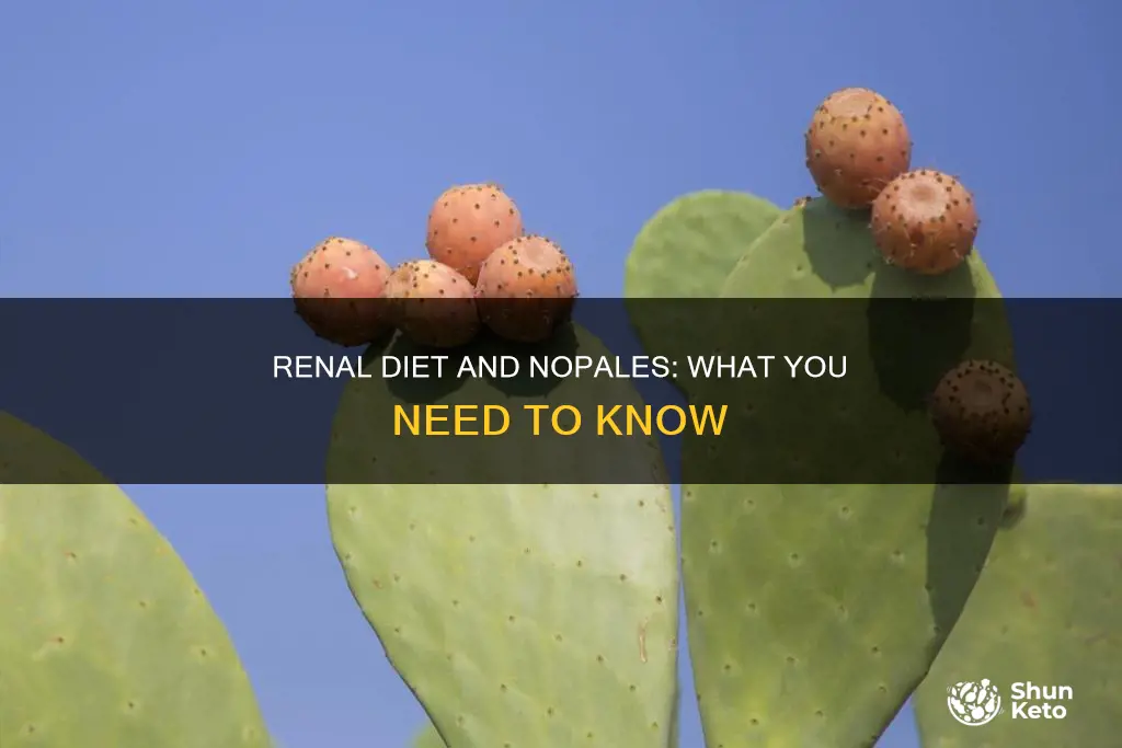 are nopales ok in a renal diet