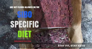Nut Flour Consumption on the SIBO Diet