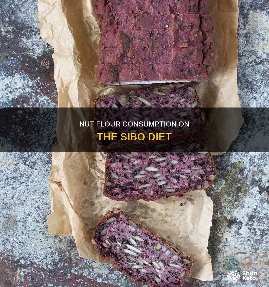 are nut flours allowed on the sibo specific diet