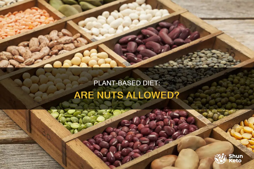 are nuts allowed on a plant based diet