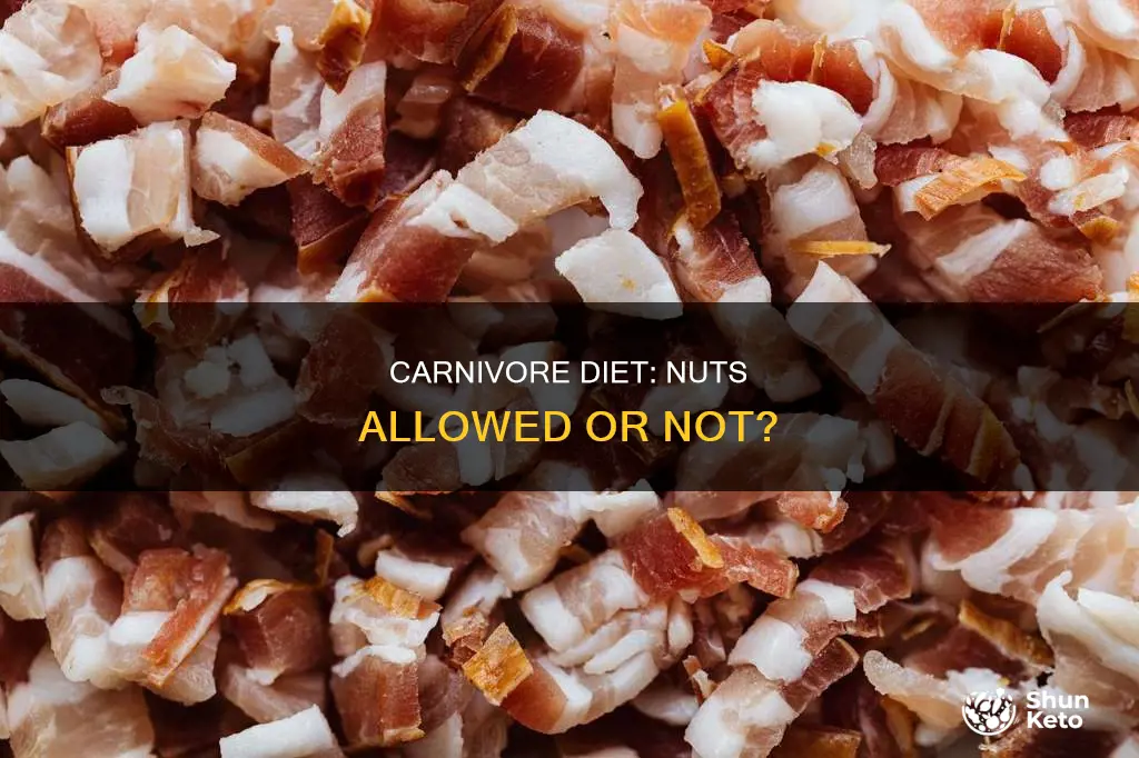 are nuts allowed on carnivore diet