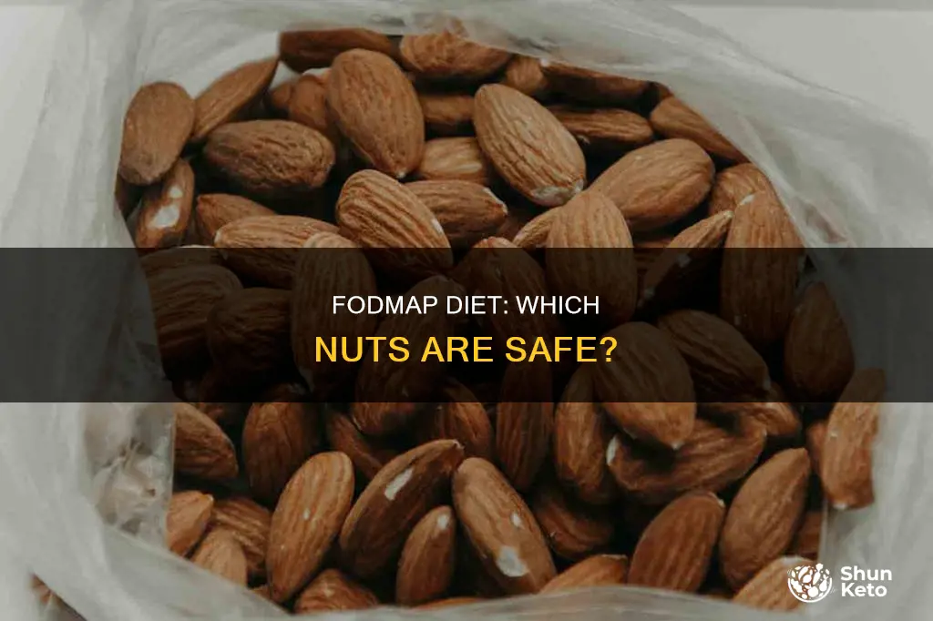are nuts allowed on fodmap diet