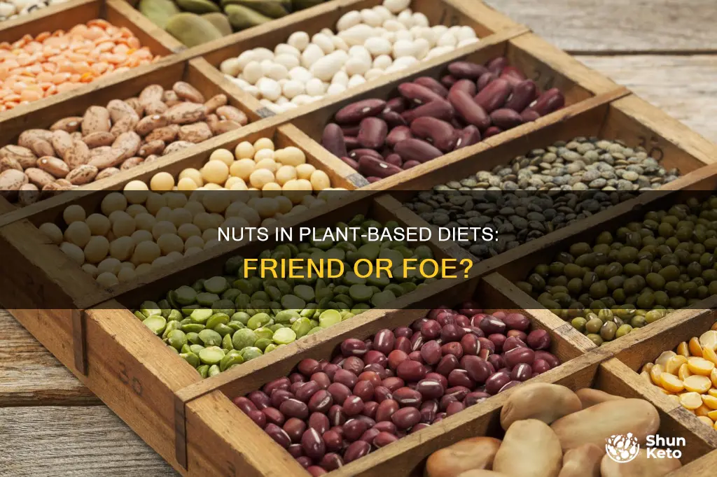 are nuts ok on a plant based diet