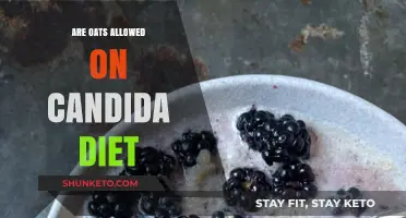 Oats on Candida Diet: What's the Verdict?