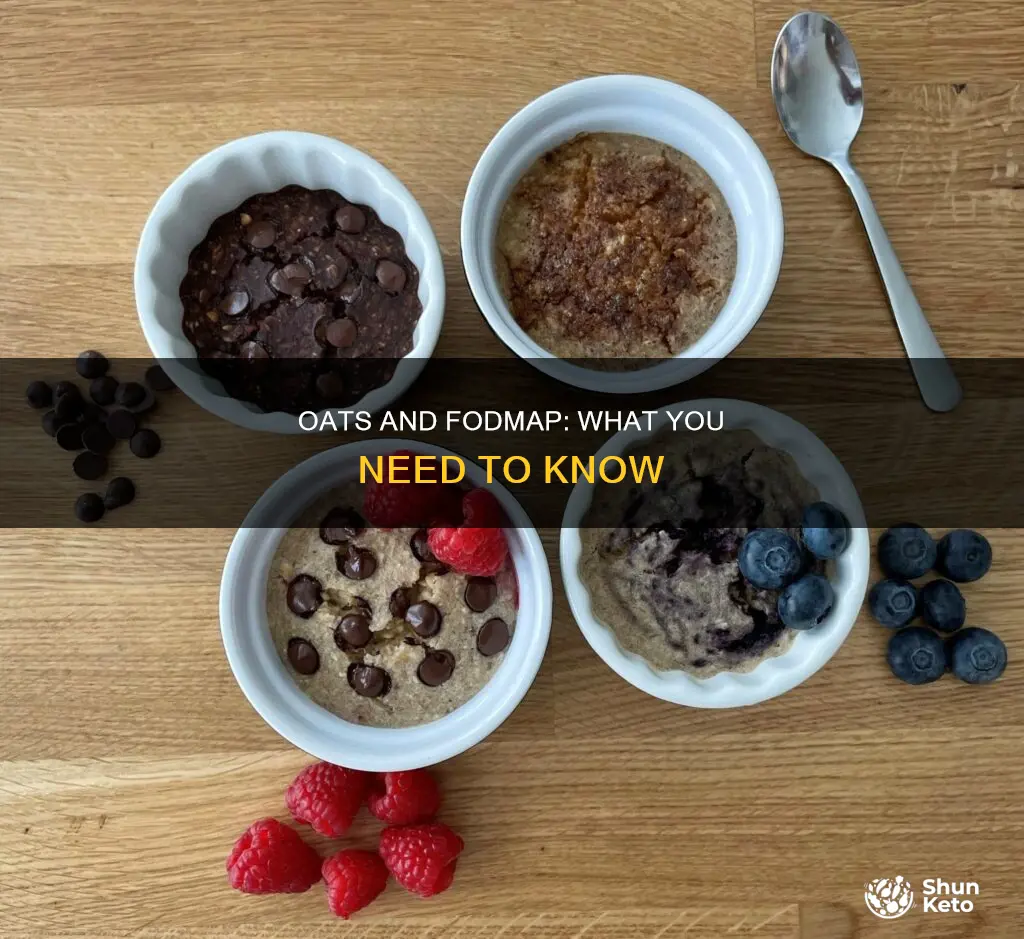 are oats allowed on fodmap diet