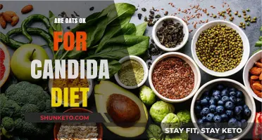 Oats and Candida Diet: What You Need to Know