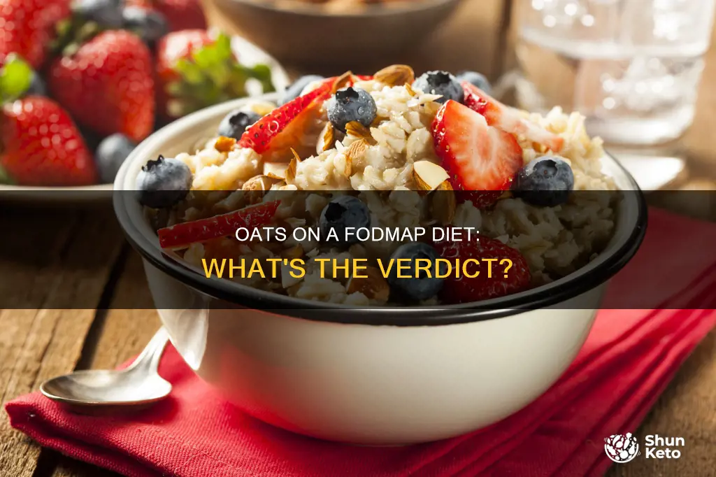 are oats ok on fodmap diet