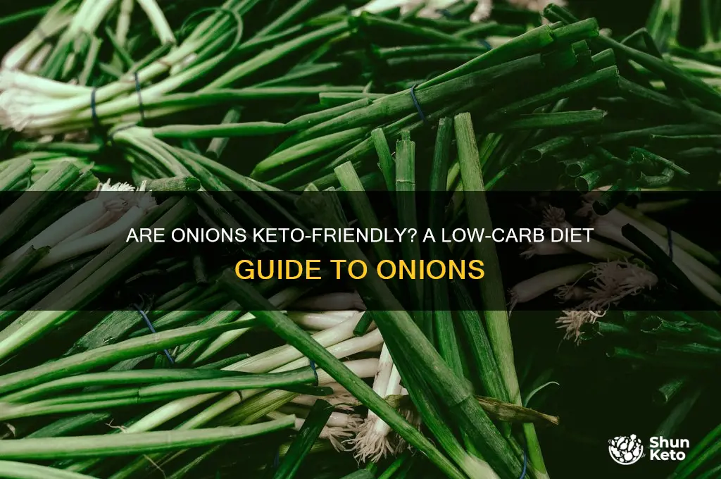 are oinons keto