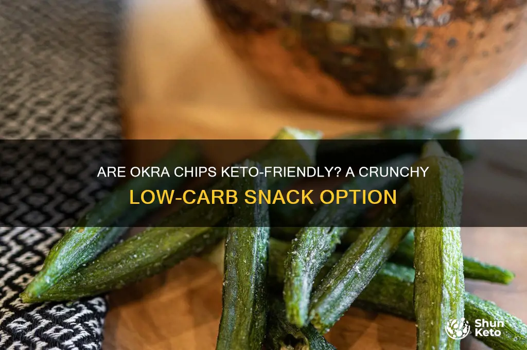 are okra chips keto