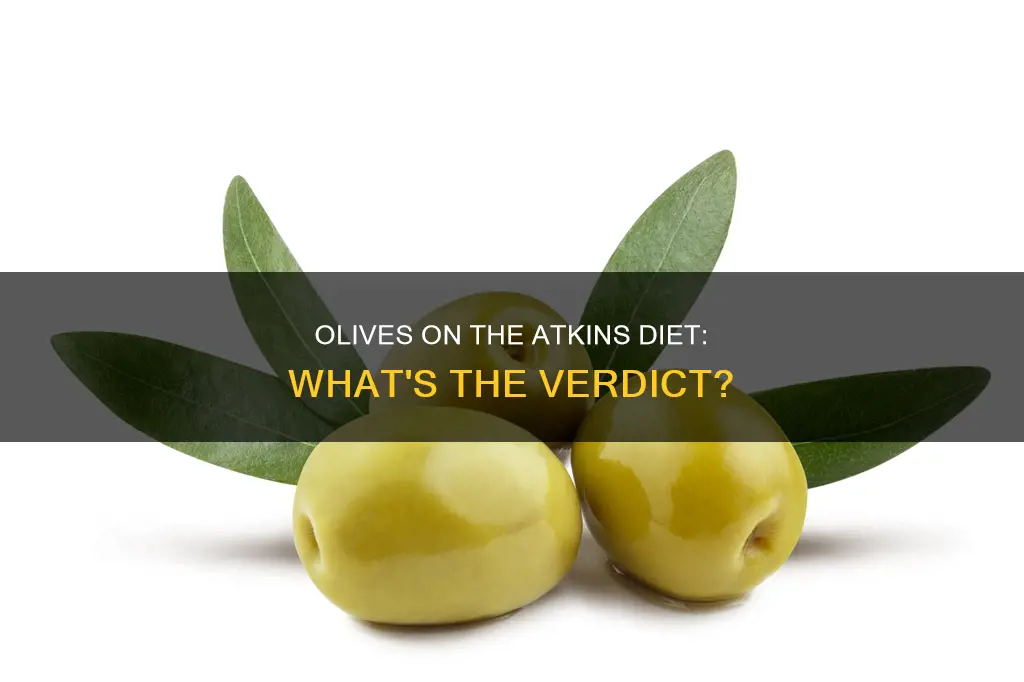 are olives okay in atkins diet