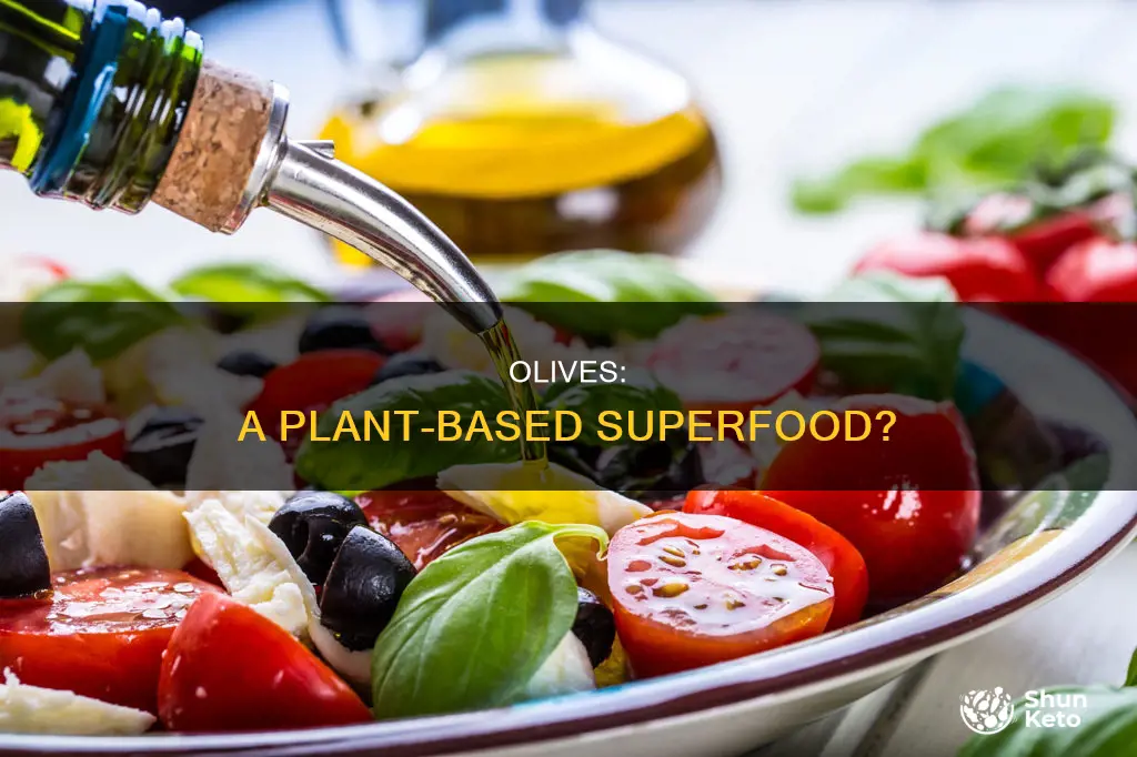 are olives part of a plant based diet