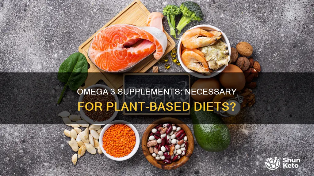 are omega 3 supplements needed on a plant based diet