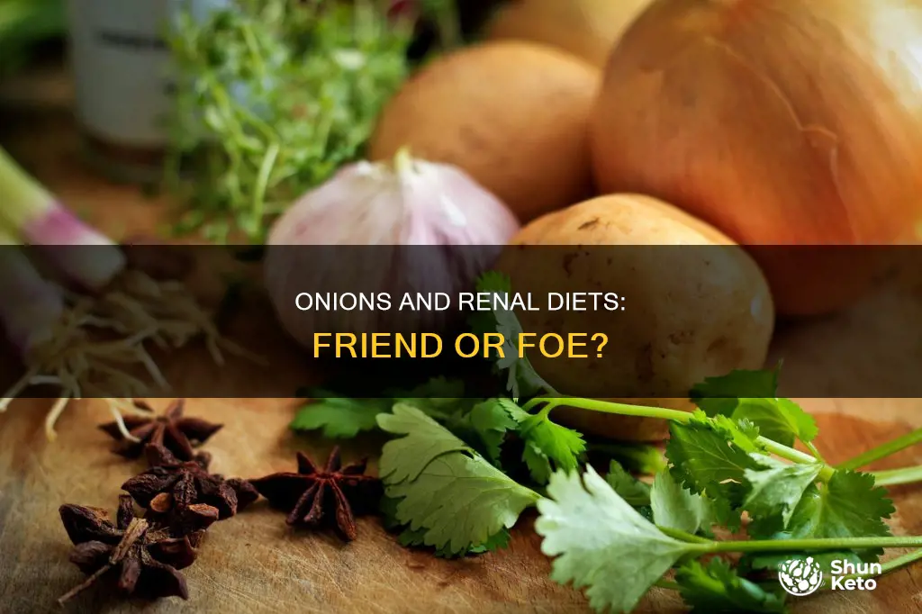 are onions ok for renal diet