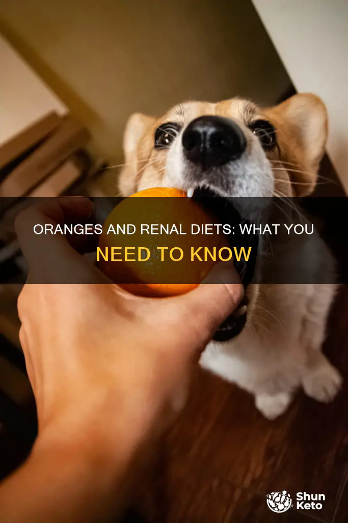 are oranges ok for renal diet