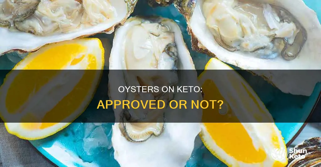 are oysters keto approved