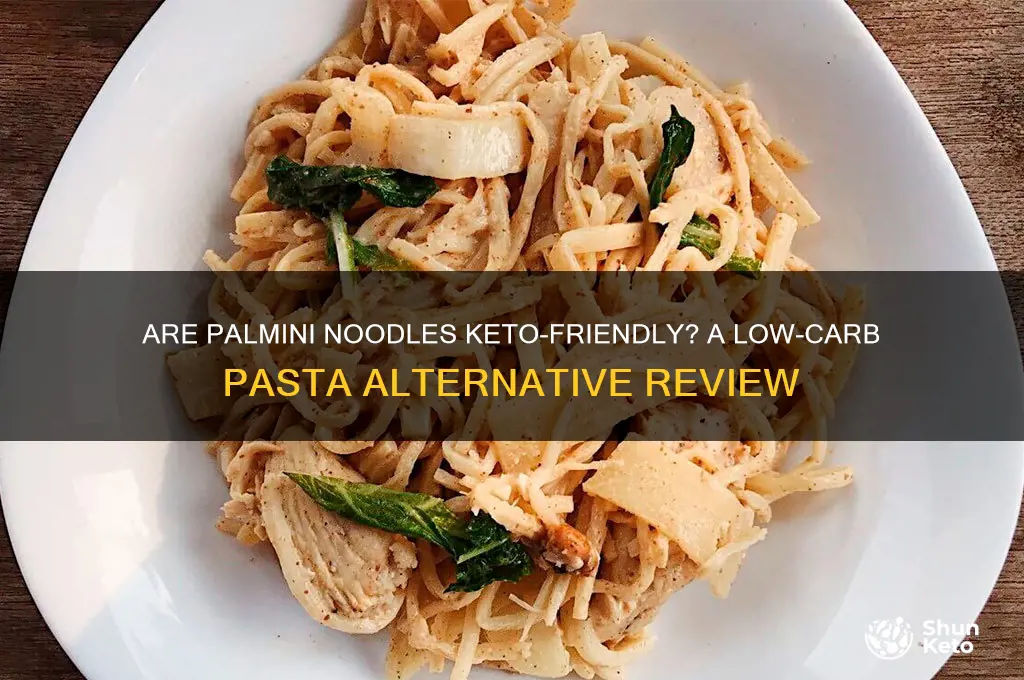 are palmini noodles keto