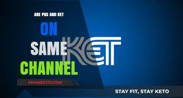 Are PBS and KET on the Same Channel? Exploring Public TV Networks