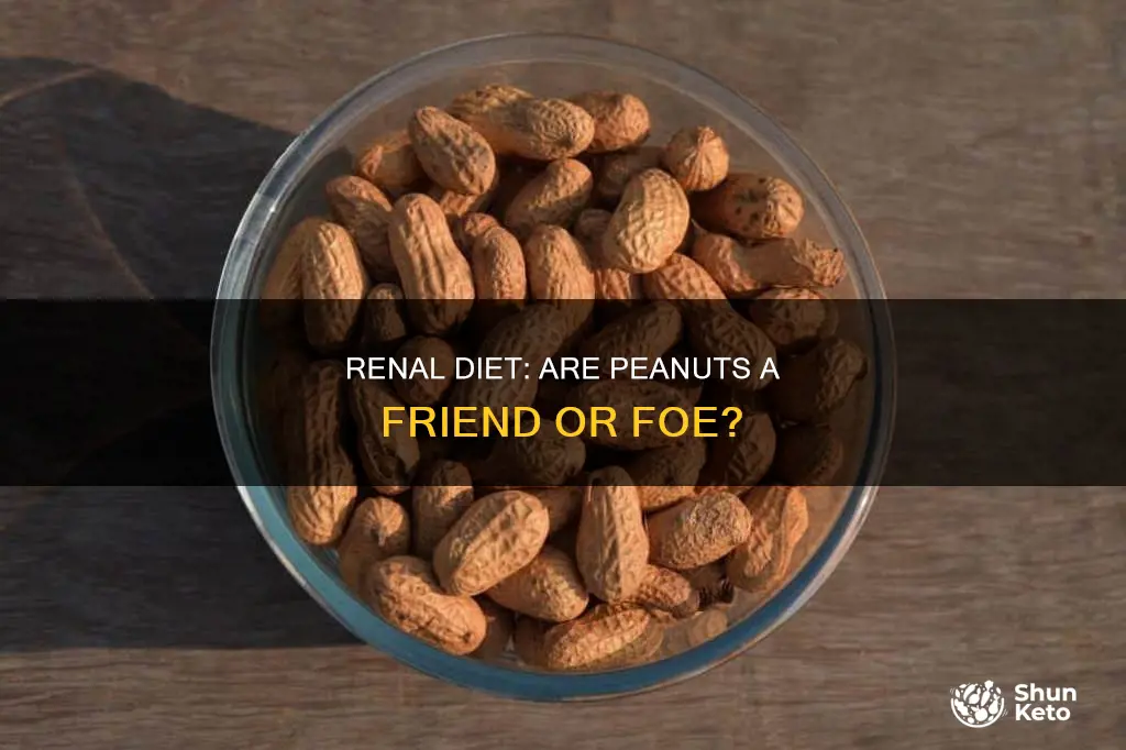 are peanuts allowed on a renal diet