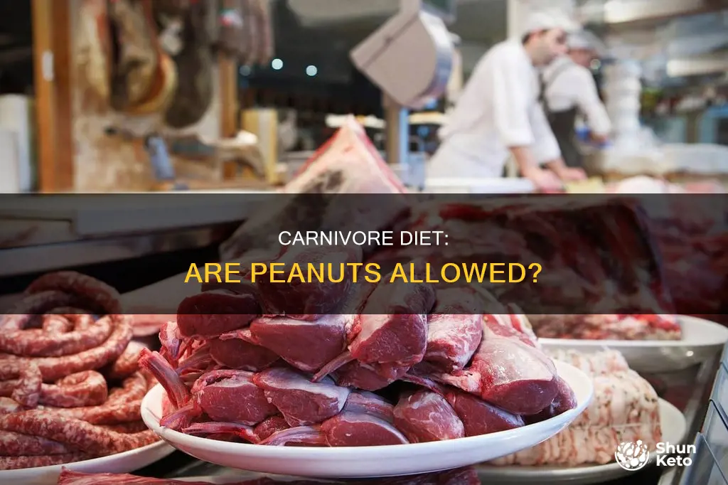 are peanuts allowed on carnivore diet