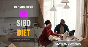 Peanuts on a SIBO Diet: What You Need to Know